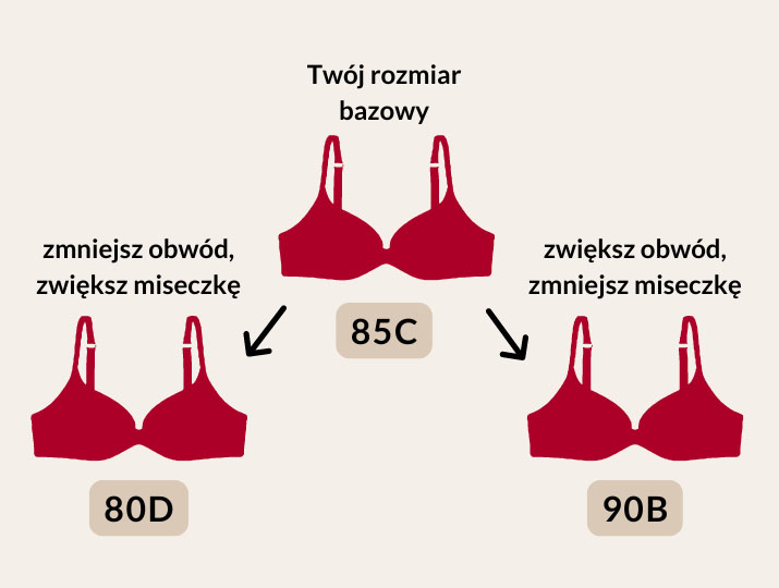 Instrukcja jak dobrać siostrzany rozmiar biustonosza - BODYLOOK