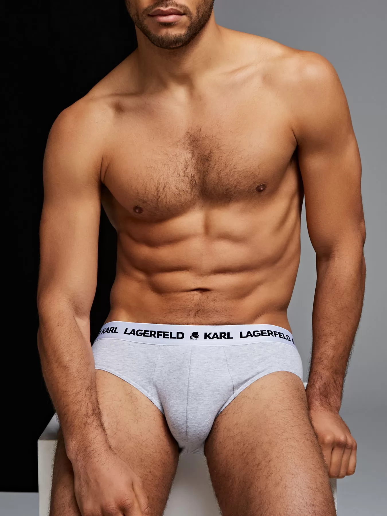 Biały, czarny, szary Slipy męskie 3PACK Karl Lagerfeld 211M2103 - zdjęcie 3